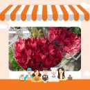 적성식물병원 이미지