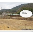 미래부동산중개사무소 이미지