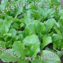 청수축산 이미지