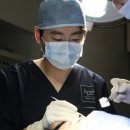 강남피부성형외과 헤럴드경제