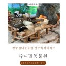 쥬니멀 | 청주실내동물원 청주이색데이트 청주놀거리 쥬니멀동물원 솔직후기!!