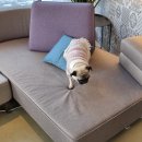 루트231 유치원 & 호텔 이미지