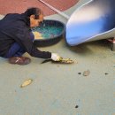 1주공아파트 놀이시설 이미지