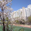 서천코끼리공인중개사사무소 | 서천2차 아이파크 공인중개사가 소개하는 전세 매물안내해드립니다