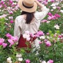 기절초풍천장어 이미지