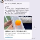 엠티 | 이제는 CREW CAMP가 아닌 CREW MT! 2026 첫 크루 엠티 후기
