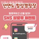 안면도힐링캠핑장