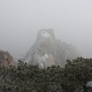 녹번-017 이미지