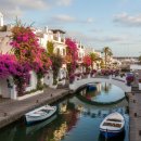 그란피코 이미지