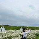 몽당케이크