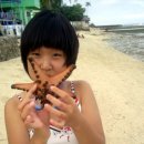 Star Fish Along the Seashore... 이미지