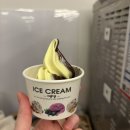 (주)주원팜 | [🇭🇺] 감히 비 니가 와?