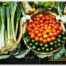 운동으로 지키는 관절 건강 이미지