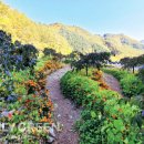 퍼머컬쳐 이미지