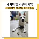 티니펫 | 네이버 펫 바우처로 그리니즈 티니 최저가 구입 후기