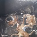 검조도