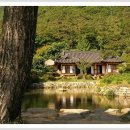 이재옥농장 이미지