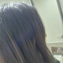 노원-상계-2662 이미지