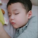 어무이새싹보리밥 이미지