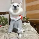 빙수네민박 이미지