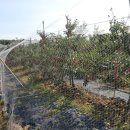 지리산골 이미지