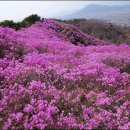 고촌마을회관 이미지