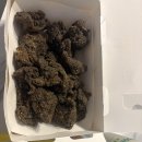 비에이치씨한림점