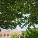 조앤조숲요양병원 이미지