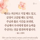 발견하게 됩니다 이미지