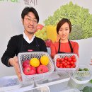 그린세이버