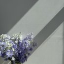 교2동-9 이미지