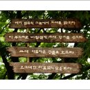 Re:서울 길상사 유래/손명규 이미지