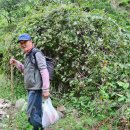 최창순 농장 이미지