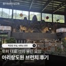 도원 | 아리랑도원 후기, 외관은 무심했지만 안은 반전이었던 용인 대형카페