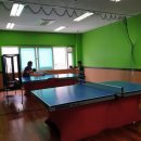 탁구교실 초급 이미지