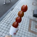 부곡 출장, 성심당, 오예브로우, 밀리오레 비키비치, <b>재인</b> 등등등 일쥬일