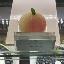 컨펙션(Confections) | 포시즌스 호텔 서울 카페&베이커리 “컨펙션” / 생일 케이크 추천!(홀케이크,조각케이크,쇼트케이크)