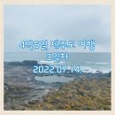 금능서시 이미지