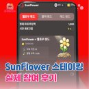 썬플라워 | 썬플라워 SunFlower 스테이킹 보상 후기