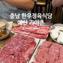 덕산정육식당 | [충남/예산] 한우 정육식당 덕산 리솜 맛집 ‘가야촌’
