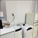 골든스테이 이미지