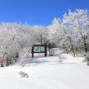 발왕산 관광케이블카 코스 이미지