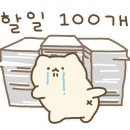 하이댕댕 이미지