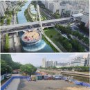 신천생태하천A | 신천 '프러포즈존' 논란: 낭만 뒤에 숨겨진 수질 악화와 생태계 위협