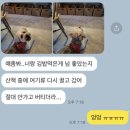 멍깨비마켓 | [삼송원데이클래스] 삼송펫푸드클래스 멍김밥 ‘멍깨비마켓’
