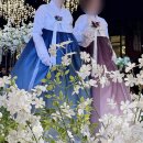 휴앤락몰 | 김해 혼주한복 청한복 청웨딩 내돈내산 후기 (김해 메르시앙웨딩홀)