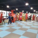 평택복싱스타 이미지