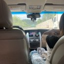 GR(장성군)-[단풍로]-하-5 | 찐친여행-! 『장성여행 빌라달모어』