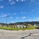 장안공단1길d | 평택 운전면허학원 이편한자동차운전학원 후기 | 비용·기간·장단점