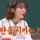 비니피자요 이미지